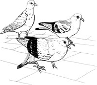 FFB031A.TIF