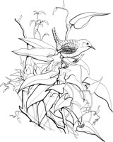 FFB024A.TIF