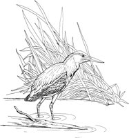 FFB021A.TIF