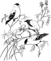 FFB019A.TIF