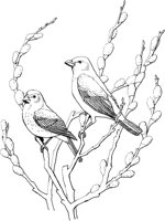 FFB015A.TIF