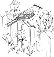 FFB014A.TIF
