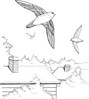 FFB013A.TIF