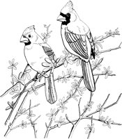 FFB010A.TIF