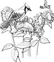 FFB005A.TIF