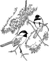 FFB003A.TIF