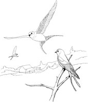 FFB002A.TIF
