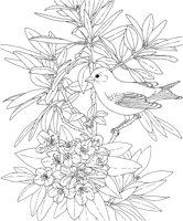 SBF048A.TIF