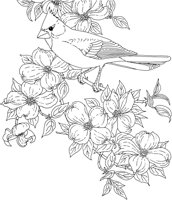 SBF047A.TIF