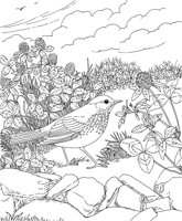 SBF046A.TIF