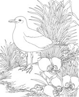 SBF045A.TIF