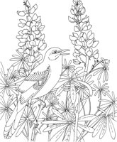 SBF044A.TIF