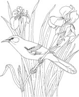 SBF043A.TIF