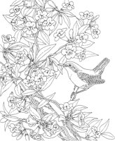 SBF041A.TIF