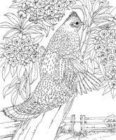SBF039A.TIF