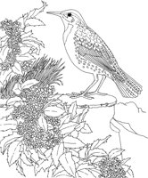 SBF038A.TIF