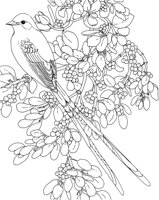 SBF037A.TIF