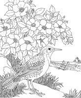 SBF035A.TIF
