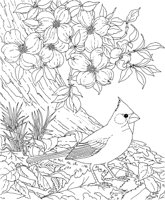 SBF034A.TIF