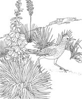 SBF032A.TIF