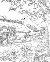 SBF031A.TIF