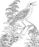 SBF028A.TIF