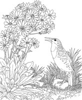 SBF027A.TIF
