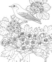 SBF026A.TIF
