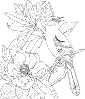 SBF025A.TIF