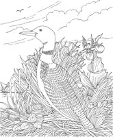SBF024A.TIF