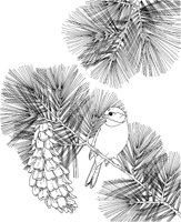 SBF020A.TIF
