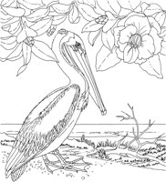SBF019A.TIF