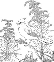 SBF018A.TIF