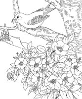 SBF016A.TIF
