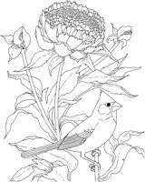 SBF015A.TIF