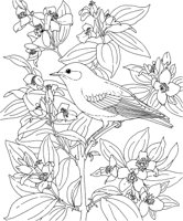 SBF013A.TIF