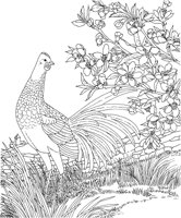 SBF009A.TIF