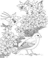 SBF007A.TIF