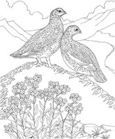 SBF003A.TIF