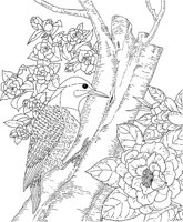 SBF002A.TIF