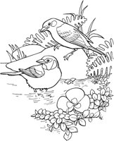 TPB041A.TIF