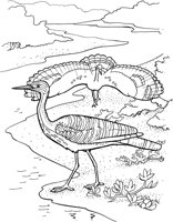 TPB039A.TIF