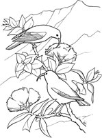 TPB036A.TIF