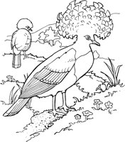 TPB034A.TIF