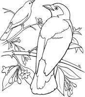 TPB033A.TIF
