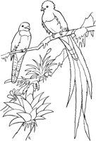 TPB031A.TIF
