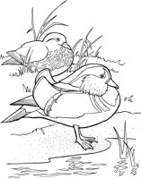 TPB030A.TIF