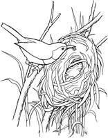 TPB028A.TIF