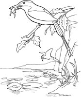 TPB027A.TIF