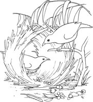 TPB026A.TIF